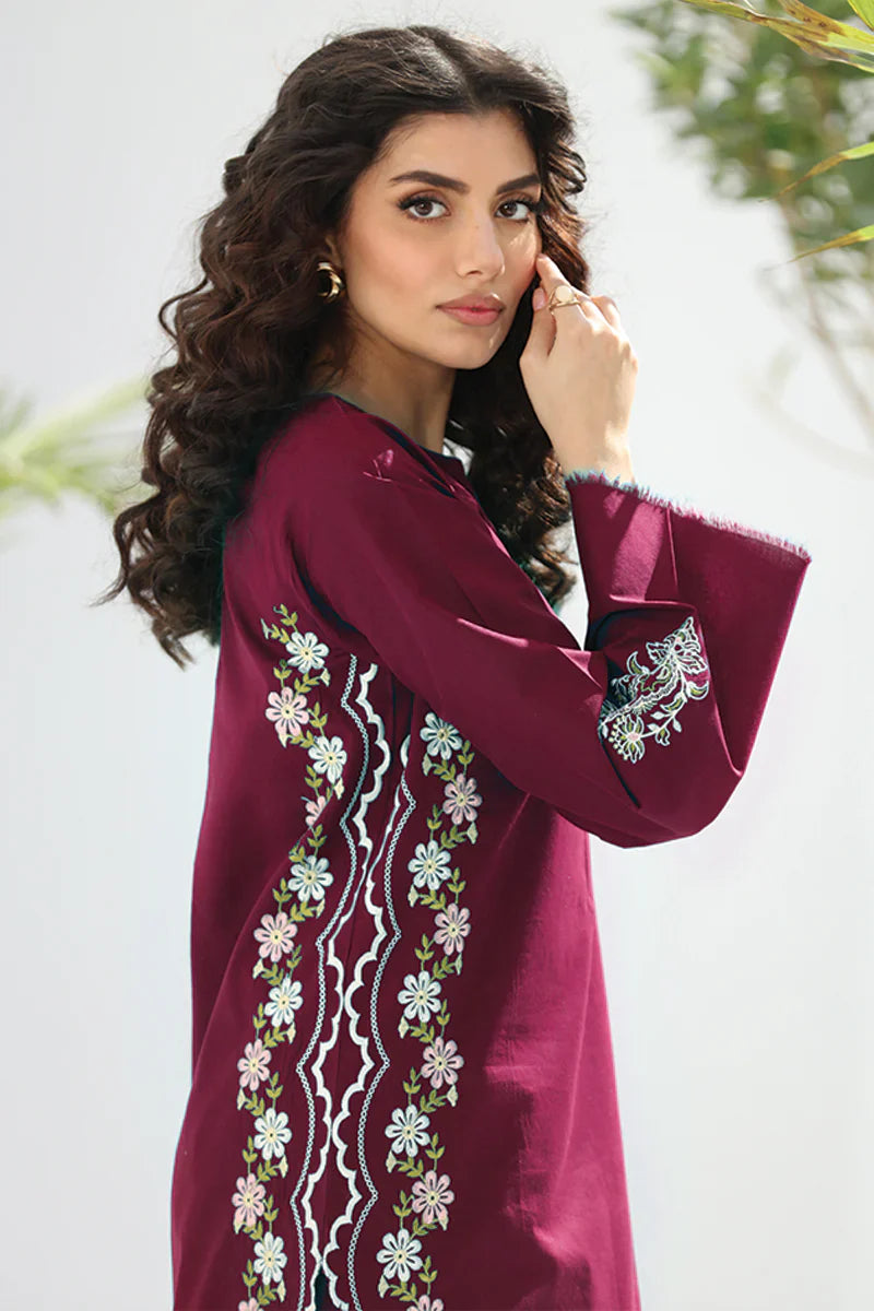 WINTER-  Best Selling - Apes 2Pc Embroidered Suit